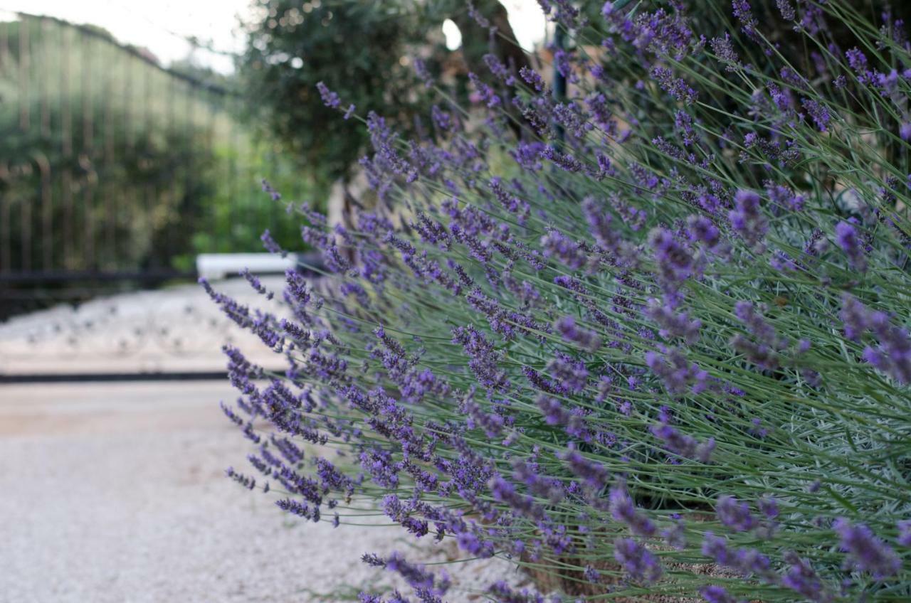 Casale Madeccia Guest House Sonnino Exterior photo